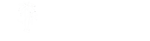logo p